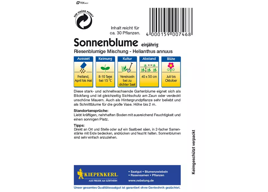 Sonnenblume 'Riesenblumige'