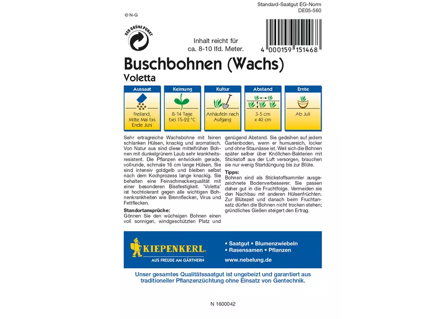 Wachs-Busch-Bohne 'Voletta'