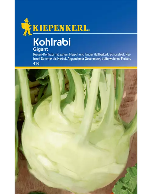 Kohlrabi 'Gigant'