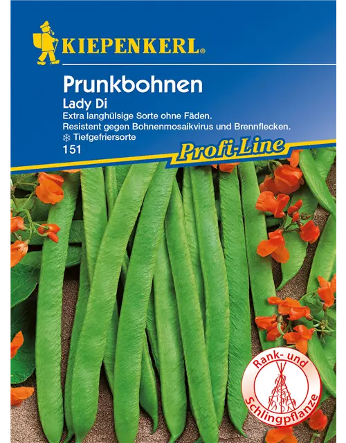 Prunkbohne 'Lady Di'