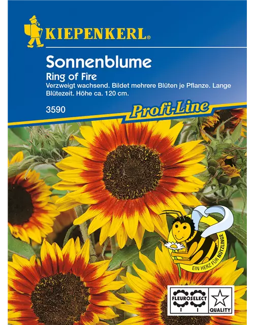 Sonnenblume 'Ring of Fire'