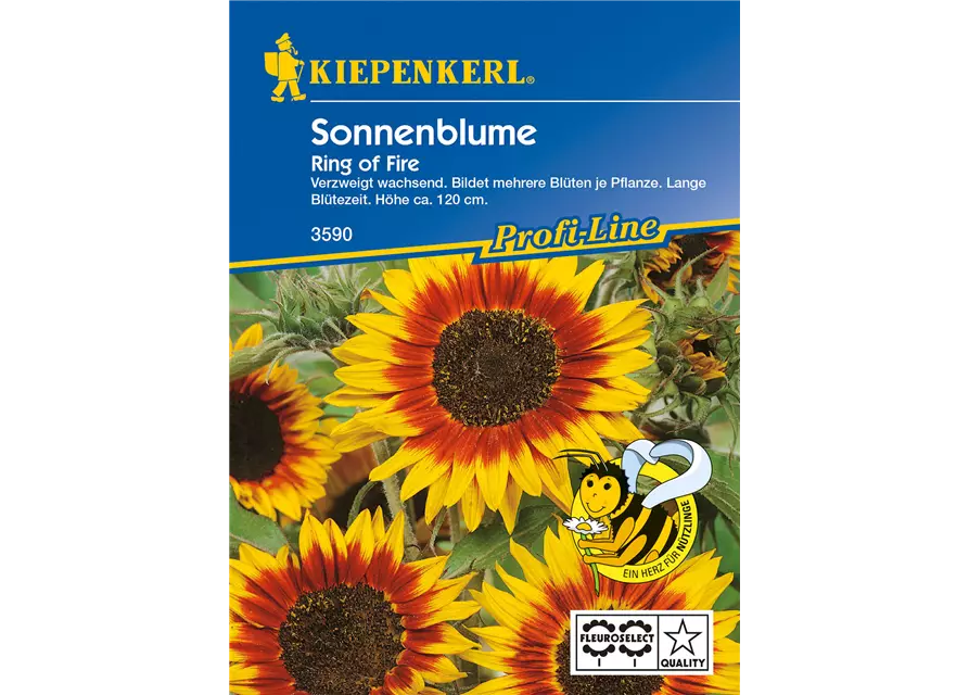 Sonnenblume 'Ring of Fire'