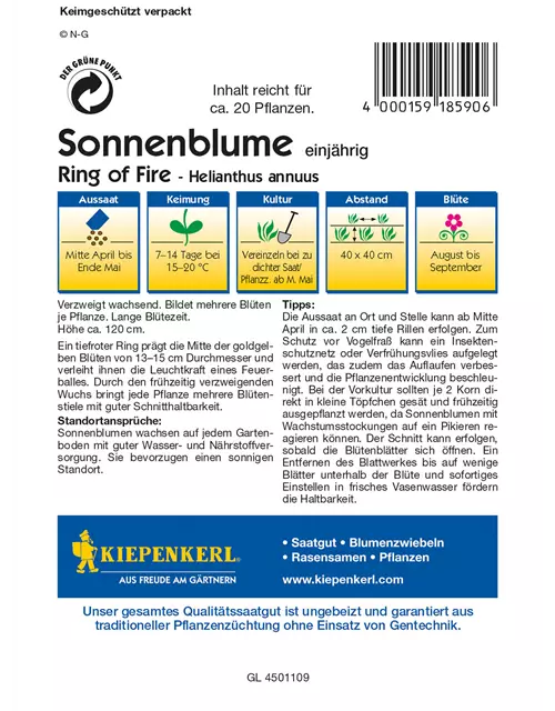 Sonnenblume 'Ring of Fire'