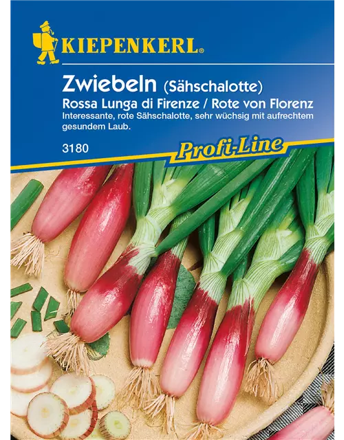 Frühlingszwiebel 'Rossa lunga di Firenze'