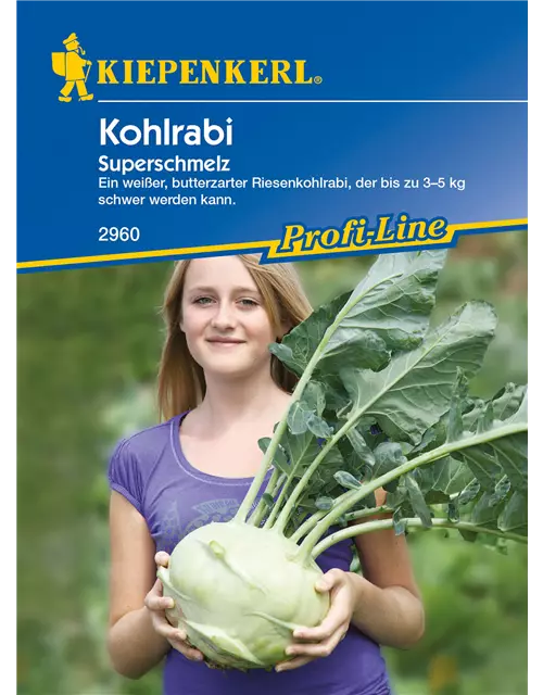 Kohlrabi 'Superschmelz'