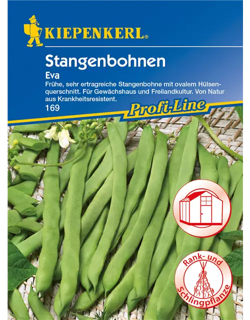 Stangenbohne 'Eva'