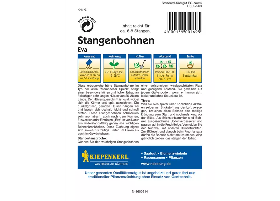 Stangenbohne 'Eva'