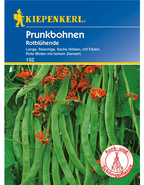 Prunkbohne 'Rotblühende'