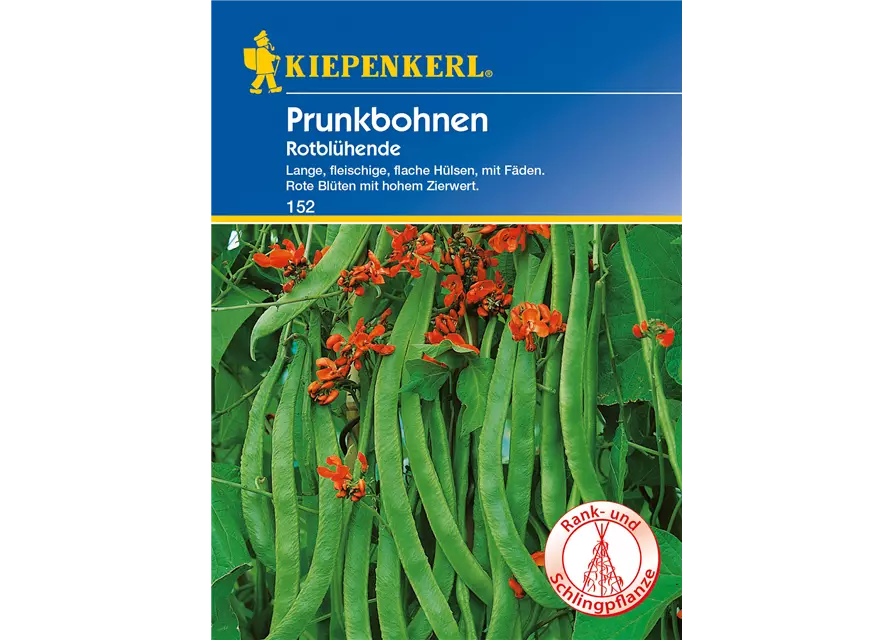 Prunkbohne 'Rotblühende'