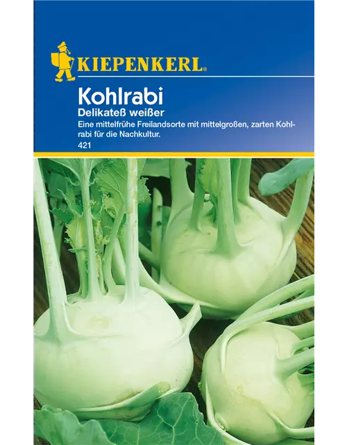 Kohlrabi 'Weißer Delikateß'