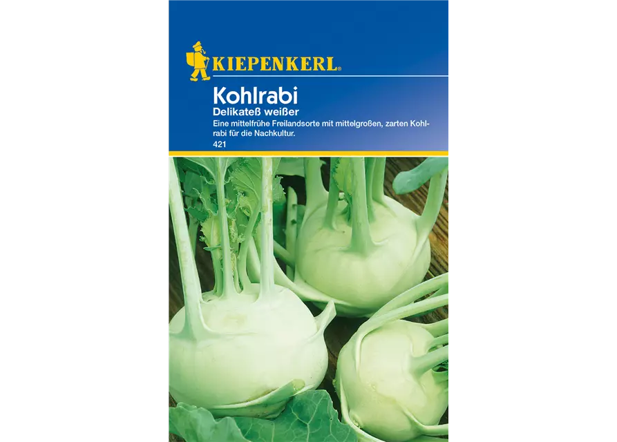 Kohlrabi 'Weißer Delikateß'