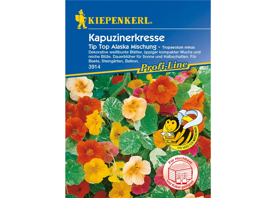 Kapuzinerkresse 'Tip-Top Alaska'