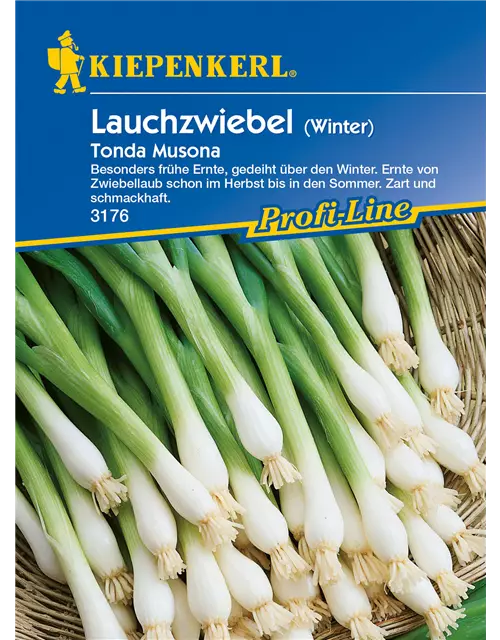 Winterlauchzwiebel 'Tonda Musona'