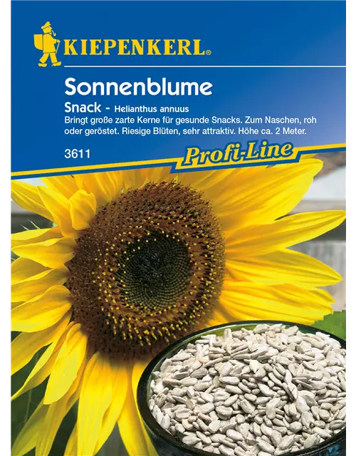 Sonnenblume 'Snack'