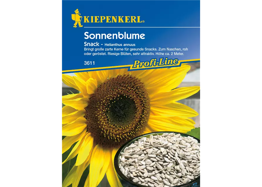 Sonnenblume 'Snack'