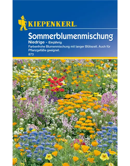 Niedrige Sommerblumen