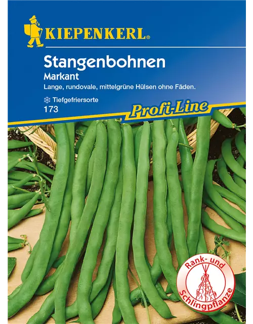 Stangenbohne 'Markant'