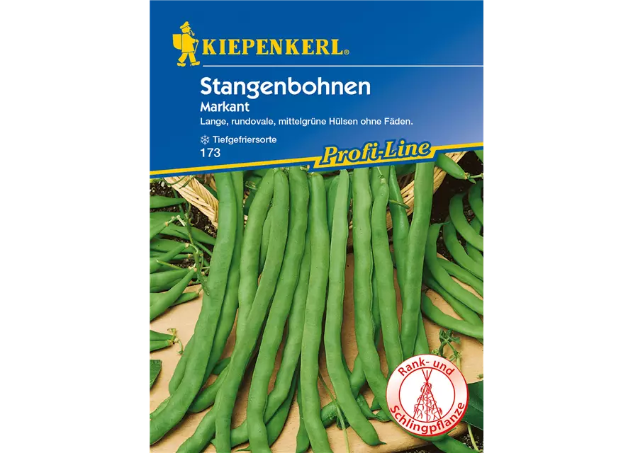 Stangenbohne 'Markant'