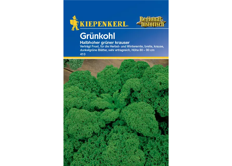 Grünkohl 'Halbhoher Grüner Krauser'