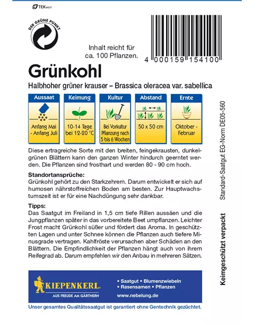 Grünkohl 'Halbhoher Grüner Krauser'