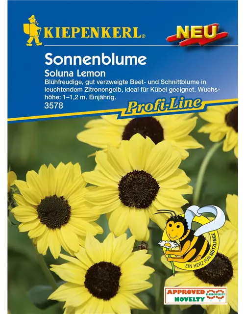 Sonnenblume 'Soluna Lemon'