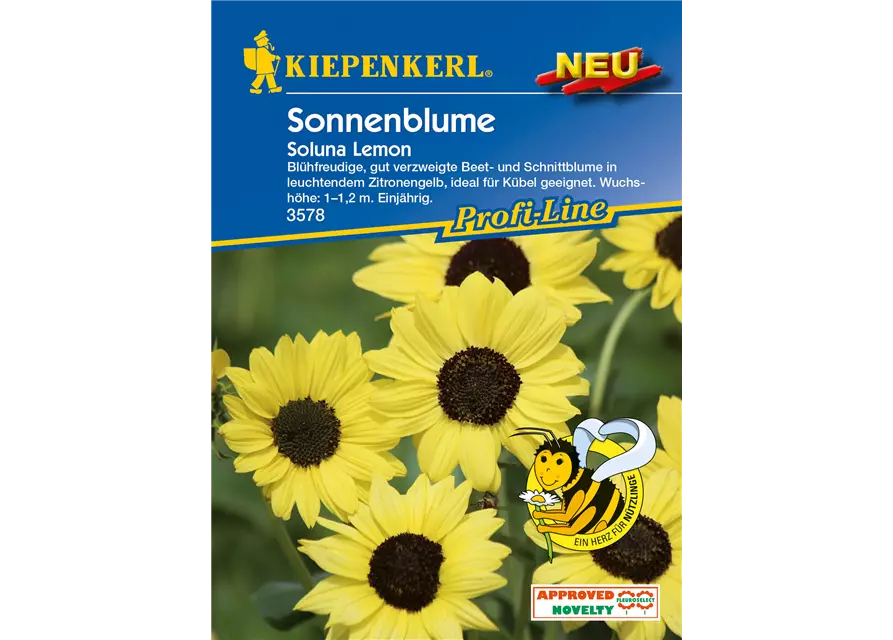 Sonnenblume 'Soluna Lemon'