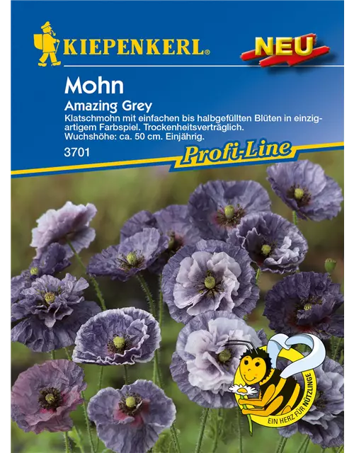 Klatsch-Mohn 'Amazing Grey'