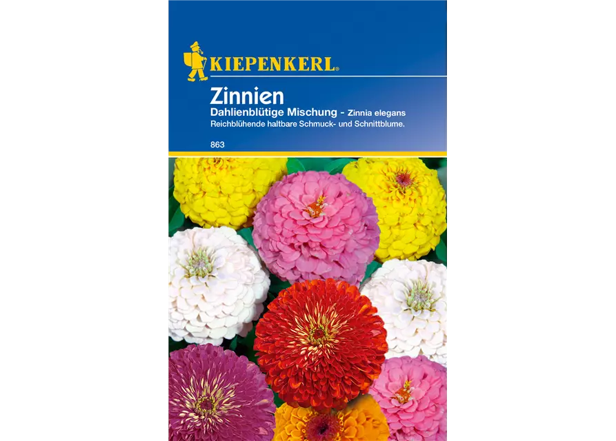 Dahlienblütige Zinnie