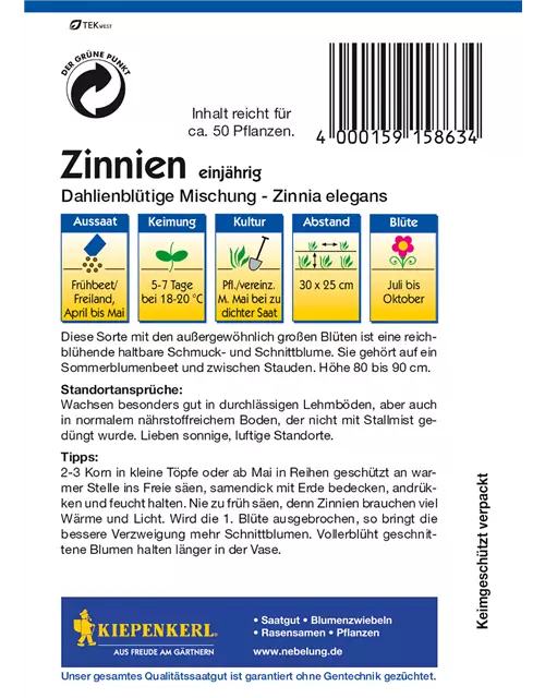 Dahlienblütige Zinnie