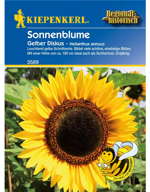 Sonnenblume 'Gelber Diskus'