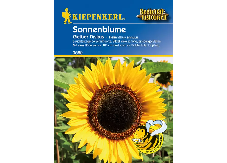 Sonnenblume 'Gelber Diskus'