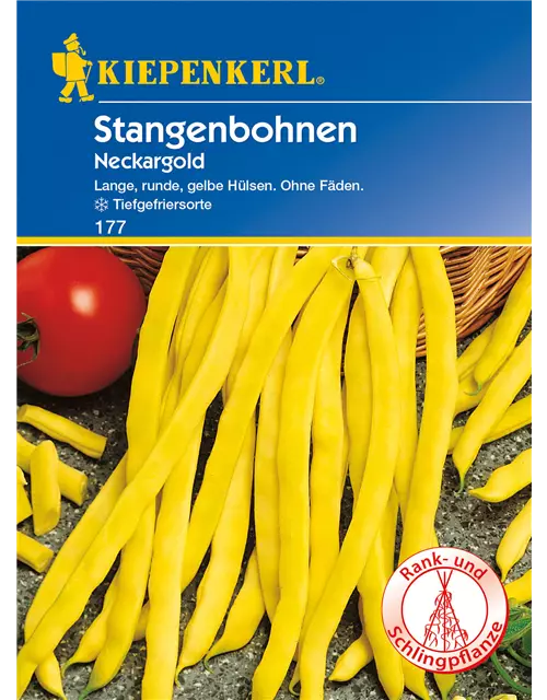 Stangen-Bohne 'Neckargold'