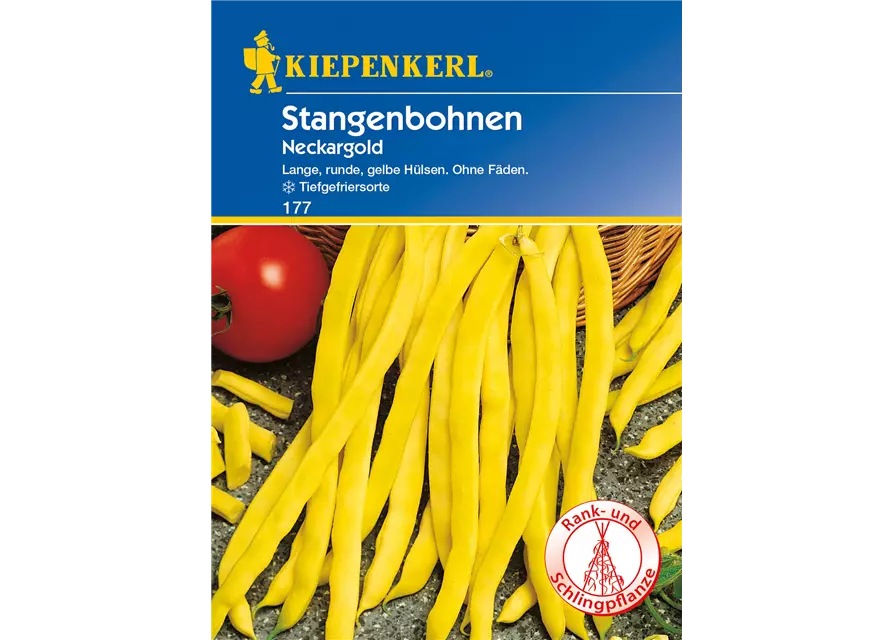 Stangen-Bohne 'Neckargold'