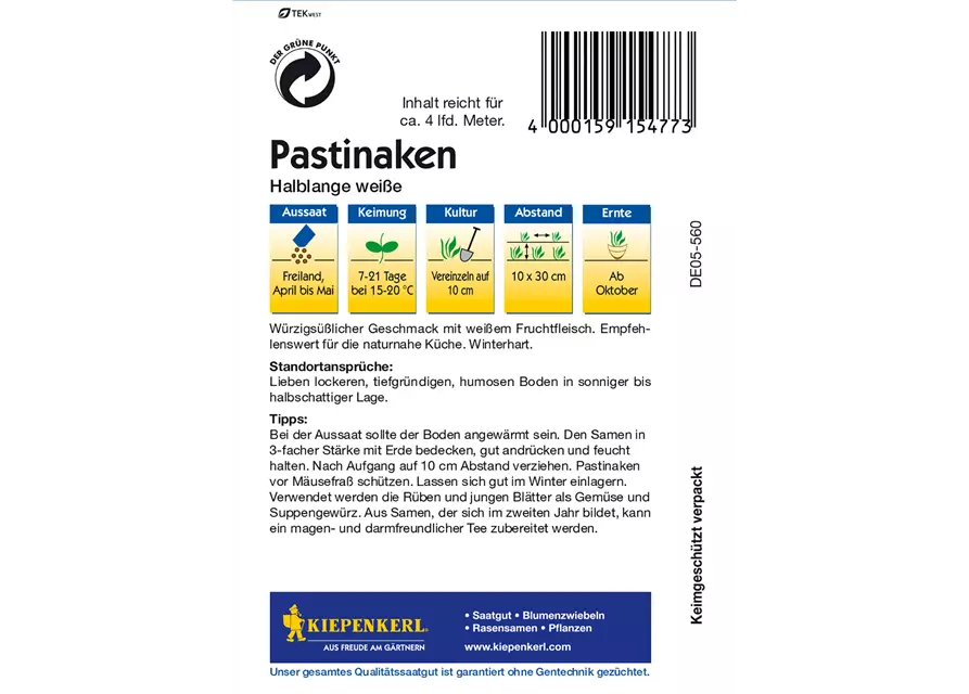 Pastinake 'Halblange Weiße'