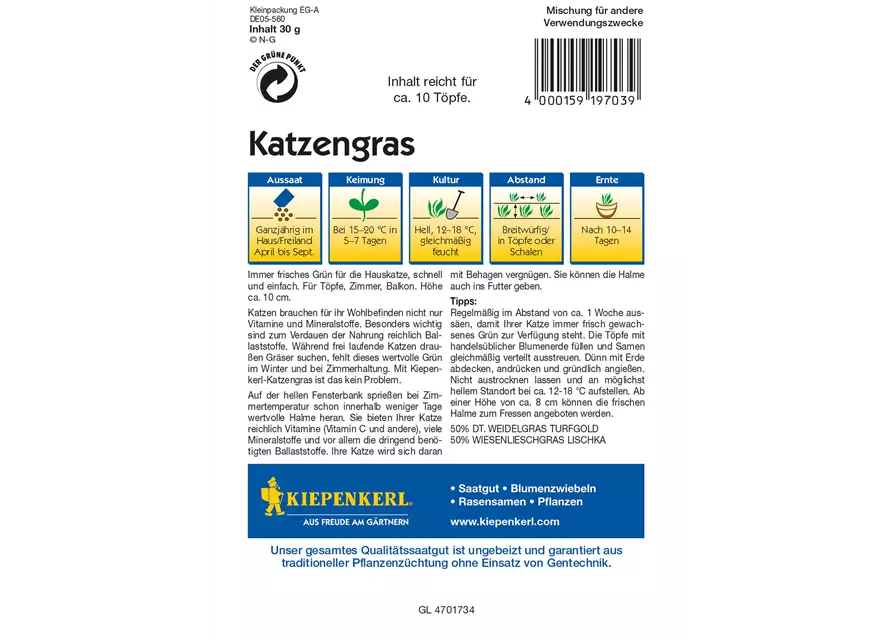 Katzengras