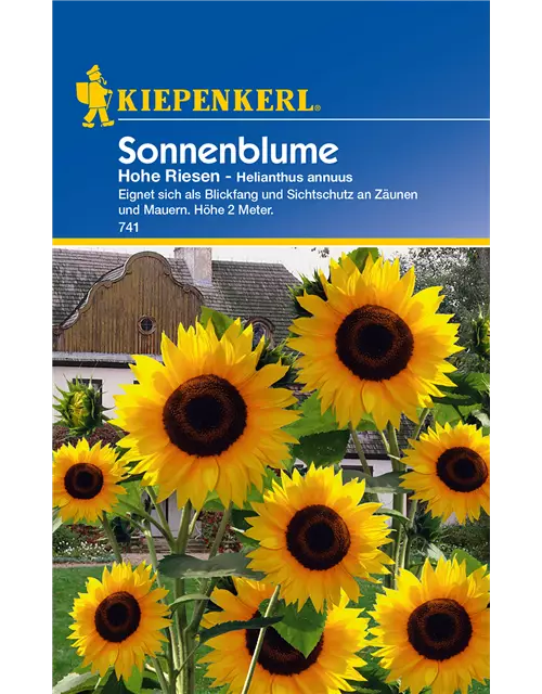 Sonnenblume 'Hohe Riesen'