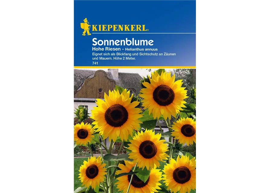 Sonnenblume 'Hohe Riesen'