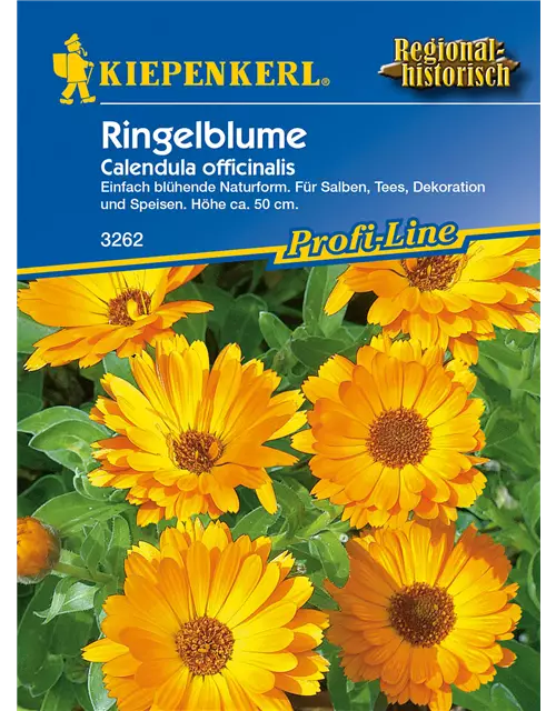 Ringelblume