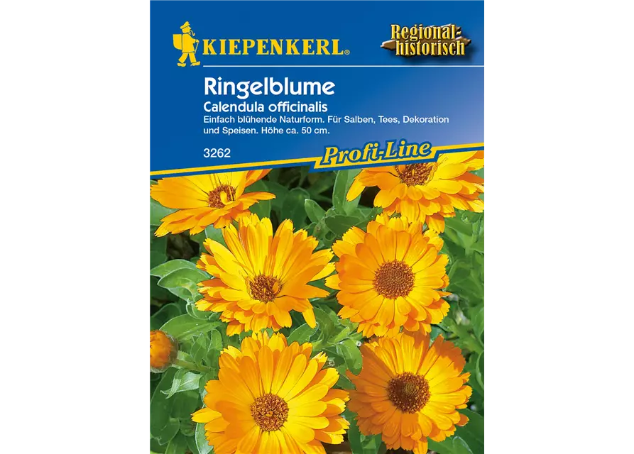 Ringelblume