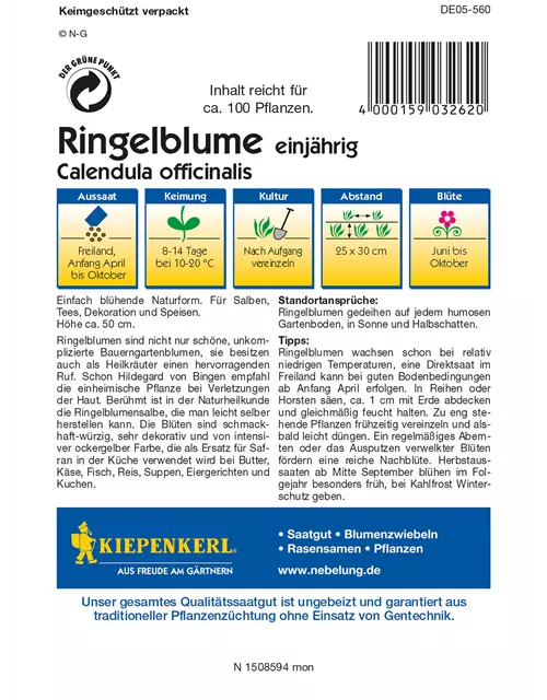 Ringelblume