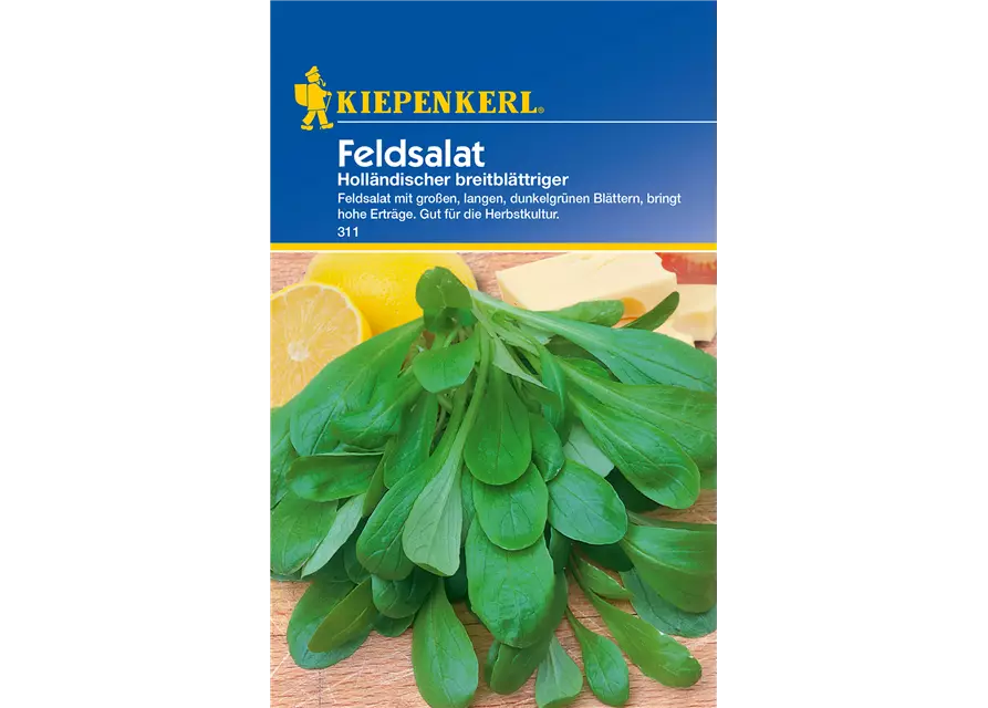 Feldsalat 'Holländischer Breitblättriger'