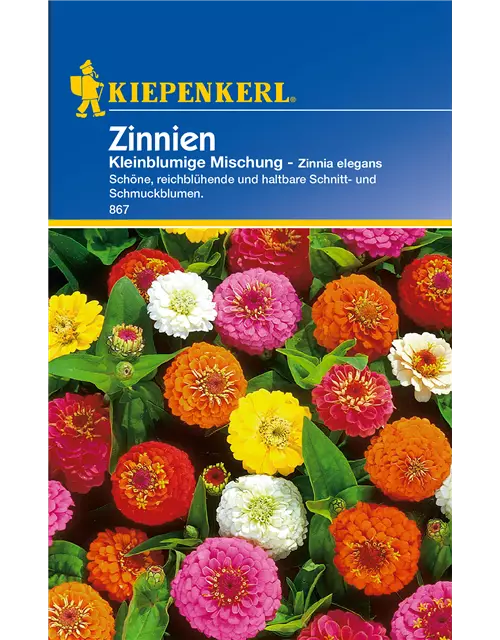 Kleinblütige Zinnie