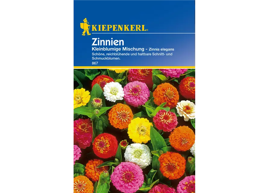 Kleinblütige Zinnie