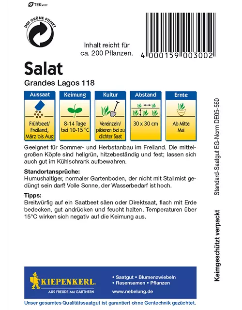 Eis-Krachsalat 'Great Lakes 118'