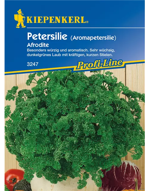 Krause Petersilie 'Aphrodite'