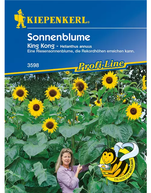 Sonnenblume 'King Kong'