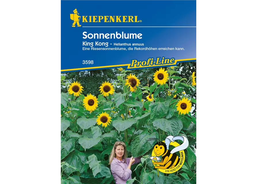 Sonnenblume 'King Kong'