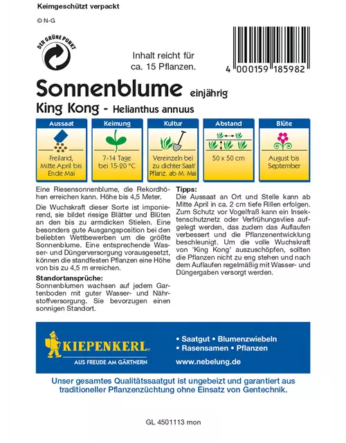 Sonnenblume 'King Kong'