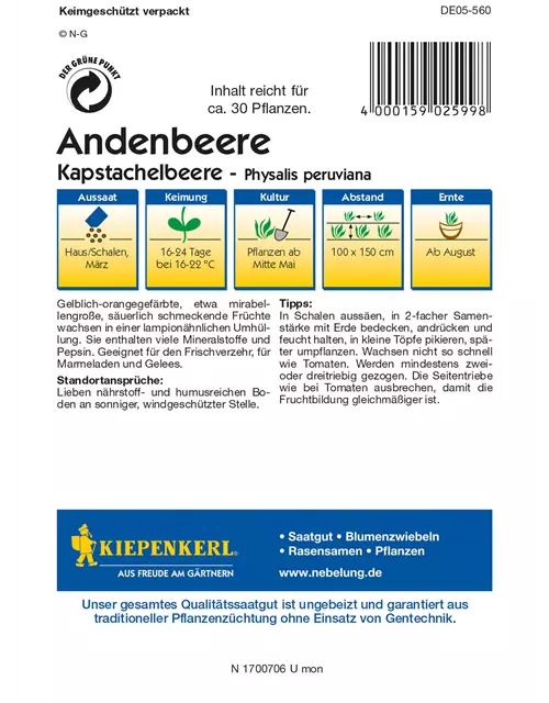 Andenbeere