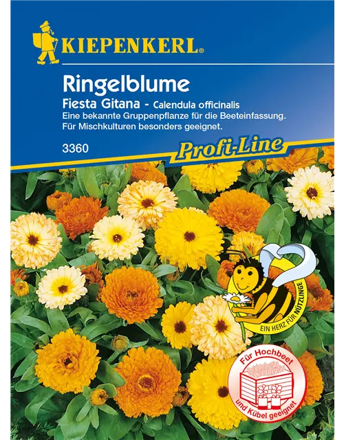 Ringelblume 'Fiesta Gitana'